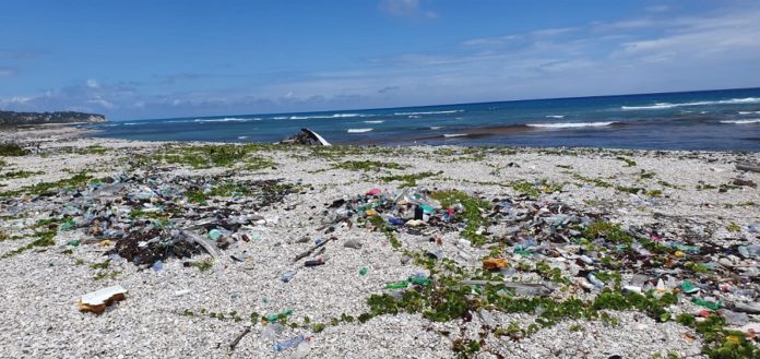 Costa_Enriquillo_L
